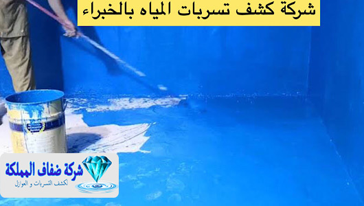 شركة كشف تسربات المياه بالخبراء